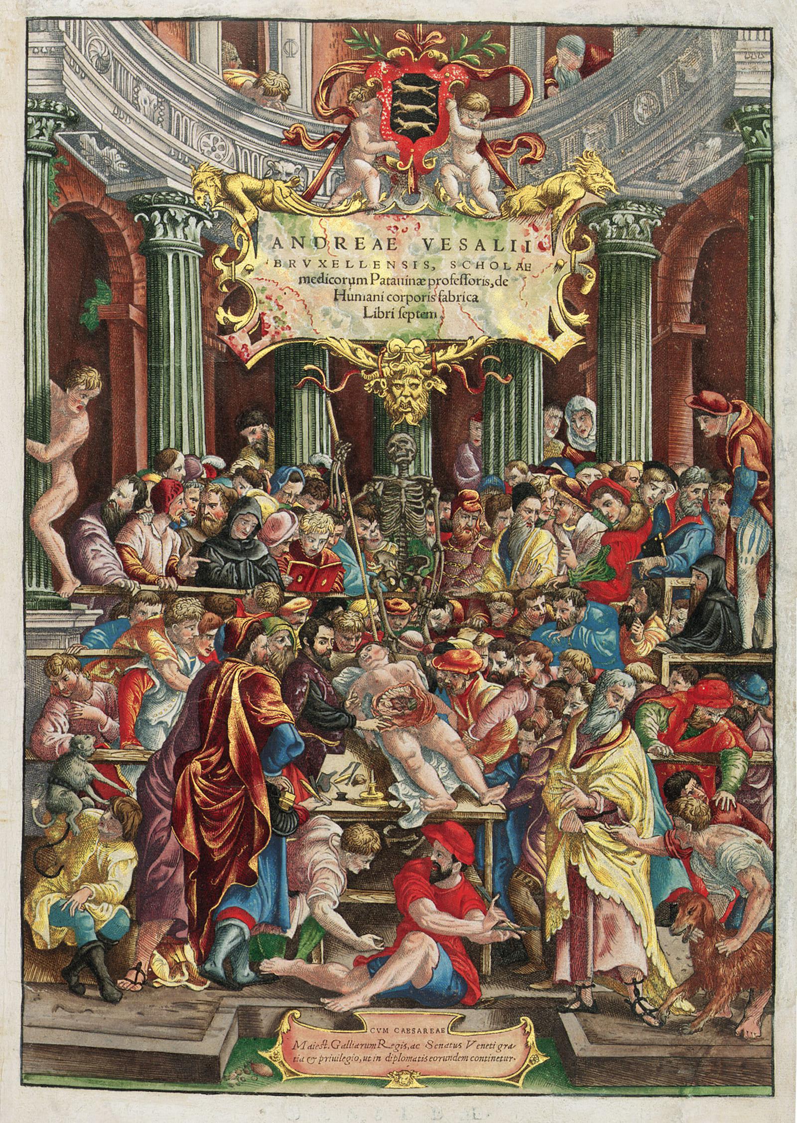 Фото 6. Фронтиспис к труду А. Везалия «О строении человеческого тела», 1543 г.  